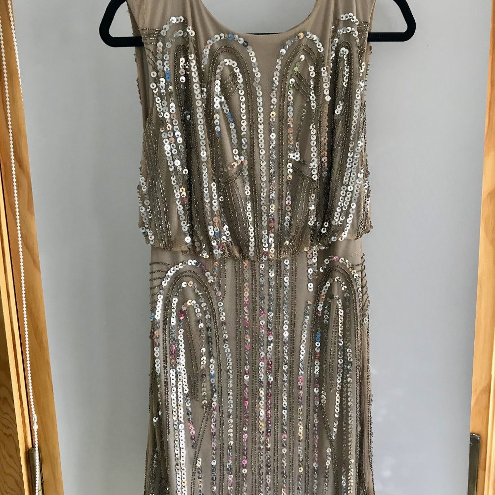 Sequin Blouson Dress Taupe bodice Silver sequins